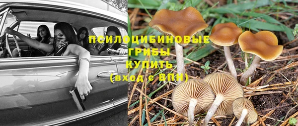 jwh Арсеньев