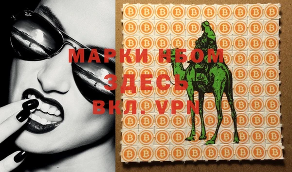 кокс Баксан