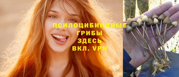 марки lsd Тобольск